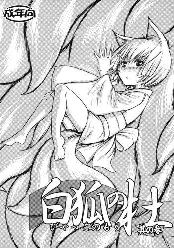 (SC41) [Tanmatsu Ijou (BadHanD)] Byakko no Mori Sono San cover