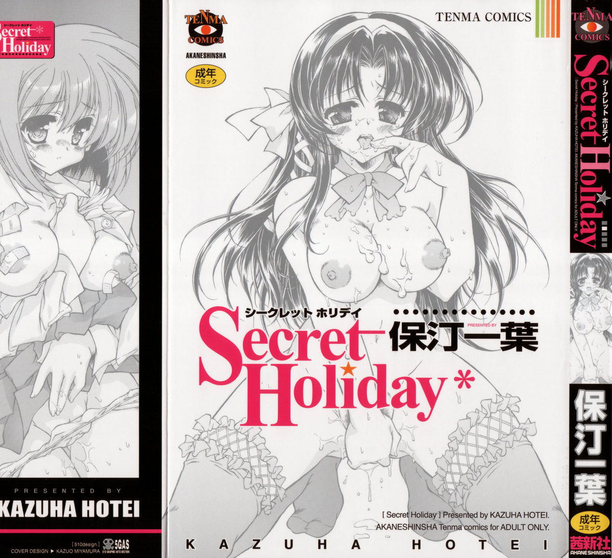 Secret Holiday page 1 full