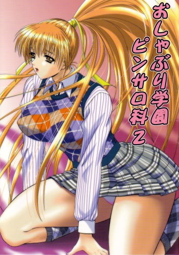 (C62) [Frapper Spirits (Hitsuki)] Oshaburi Gakuen PinSalo-ka 2 (Dead or Alive) cover