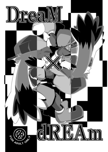 DreaM x dREAm cover