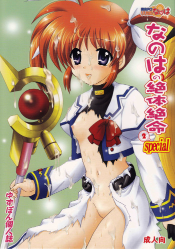 (C75) [TecchiTecchi (YUZUPON)] Nanoha no Zettai Zetsumei Special 2 (Mahou Shoujo Lyrical Nanoha) cover