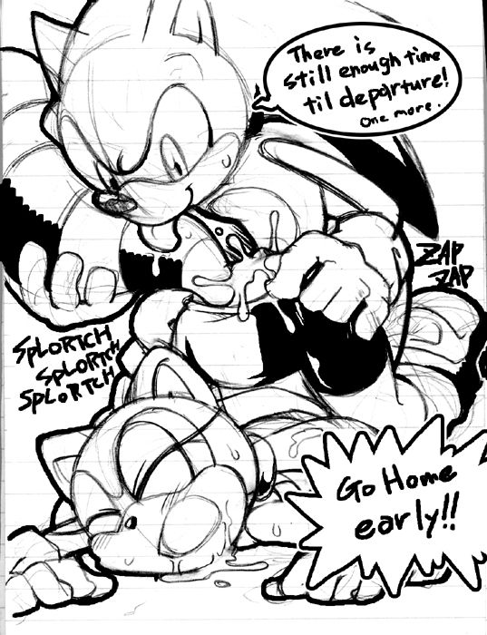 Large Sonic Collection- Marine the Raccoon page 7 full