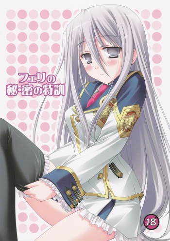(COMIC1☆3) [Nirvana Soft (HIRONII)] Felli no Hi-Mitsu Tokkun (Chrome Shelled Regios) [English] cover