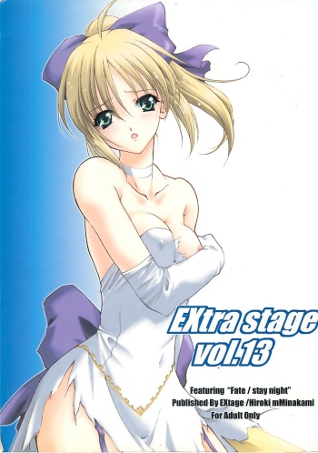 (CR35) [EXtage (Minakami Hiroki)] EXtra stage vol. 13 (Fate/stay night) cover