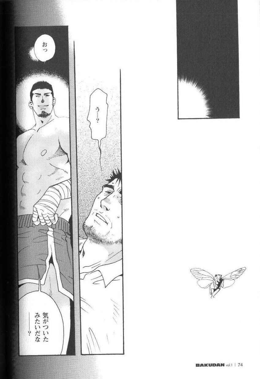 Semi - Cicada page 10 full