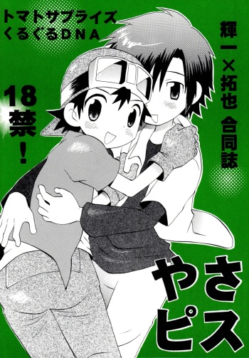 [KuruGuru DNA (Hoshiai Hilo)] YasaPis (Digimon Frontier) cover
