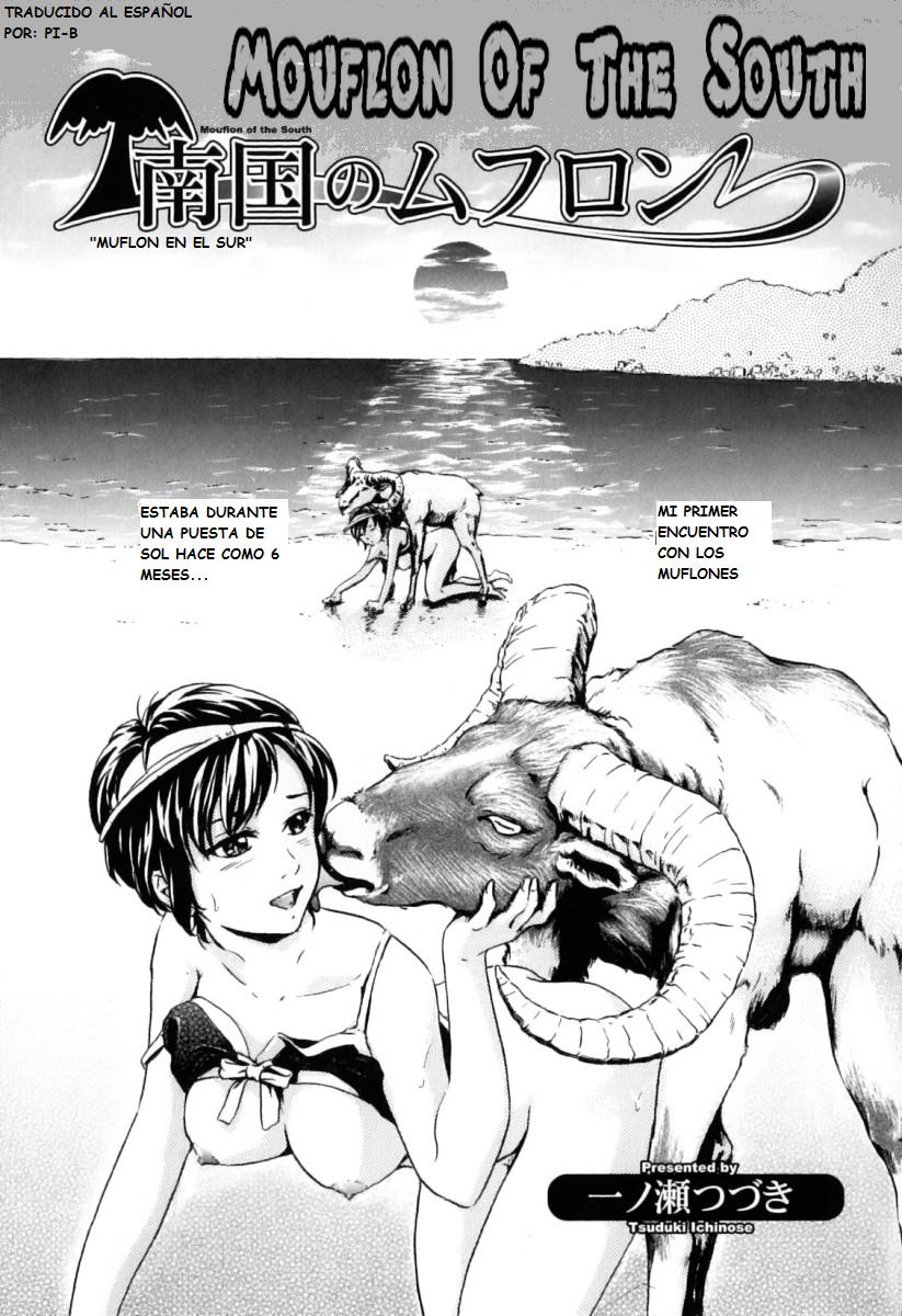 Nangoku no Mouflon | Muflon en El Sur page 1 full