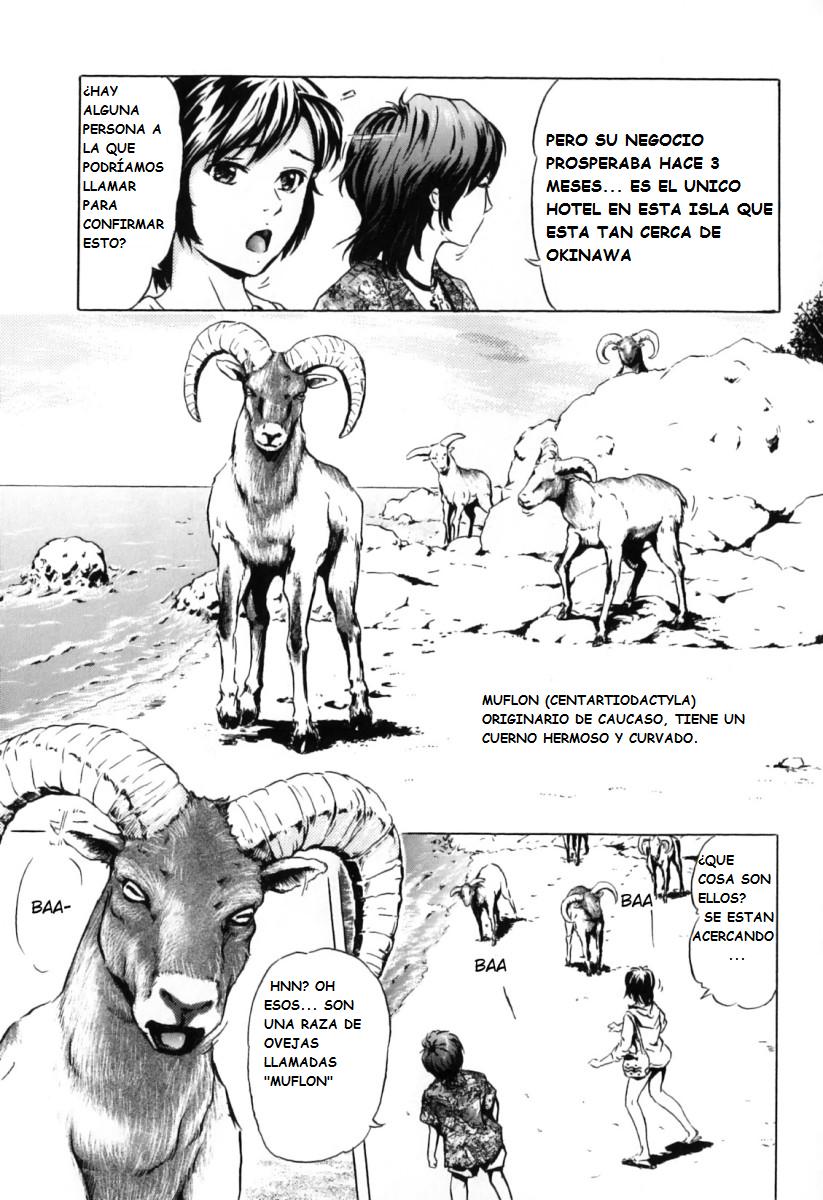 Nangoku no Mouflon | Muflon en El Sur page 3 full