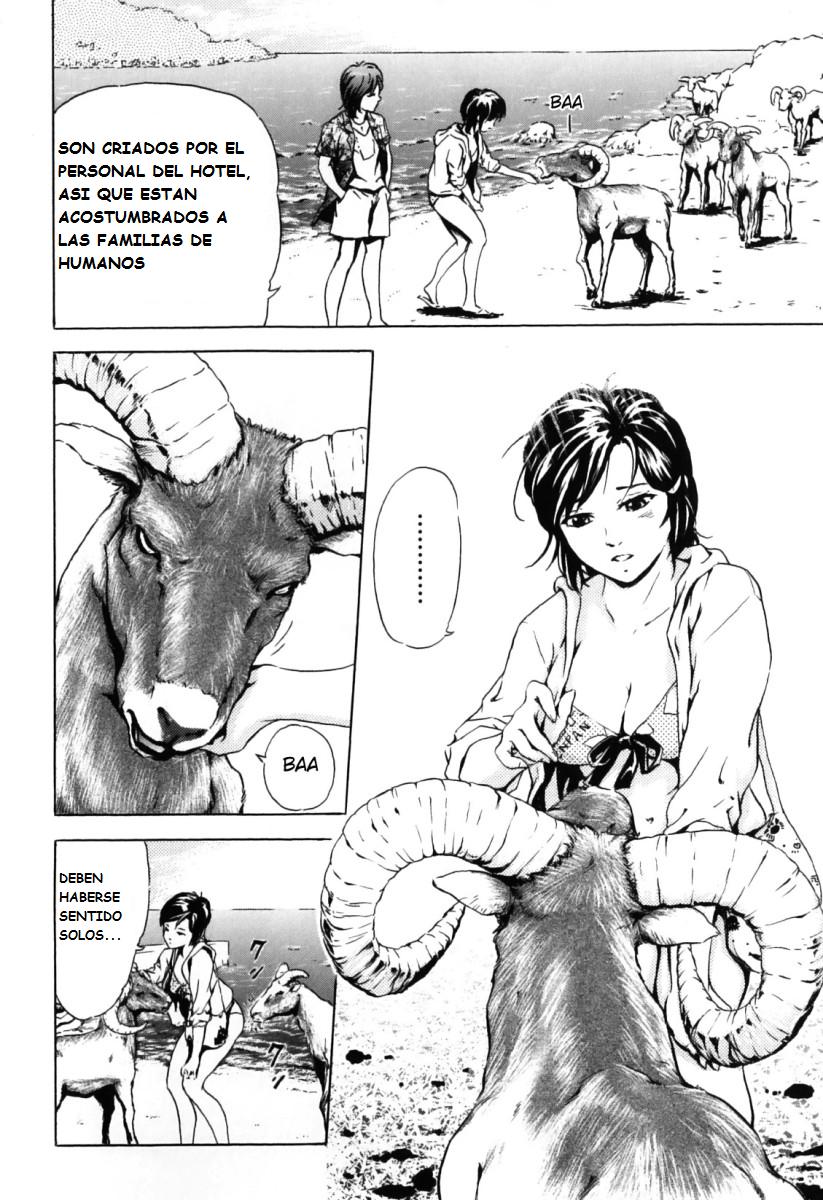 Nangoku no Mouflon | Muflon en El Sur page 4 full