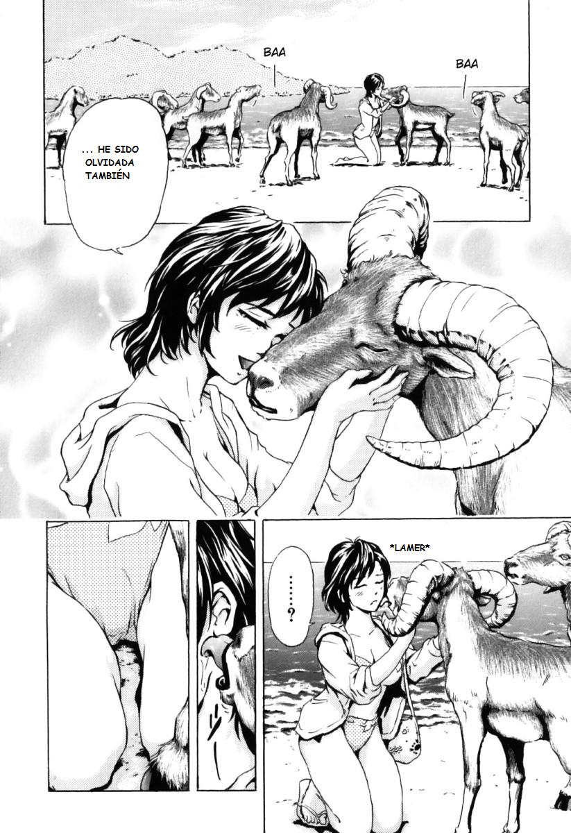 Nangoku no Mouflon | Muflon en El Sur page 8 full