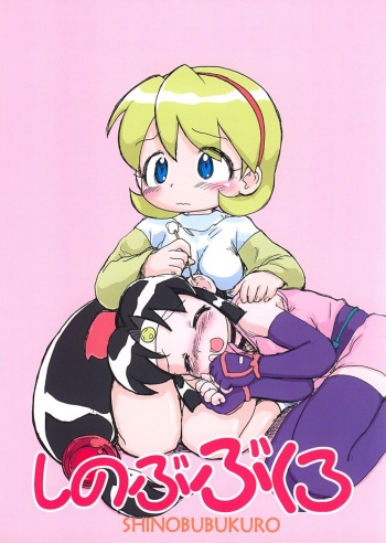 (C66) [Sanketsushuu (Sanzui)] SHINOBUBUKURO (2x2=Shinobuden) cover