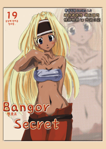 Bangor Secret (Mabinogi) [Korean] cover