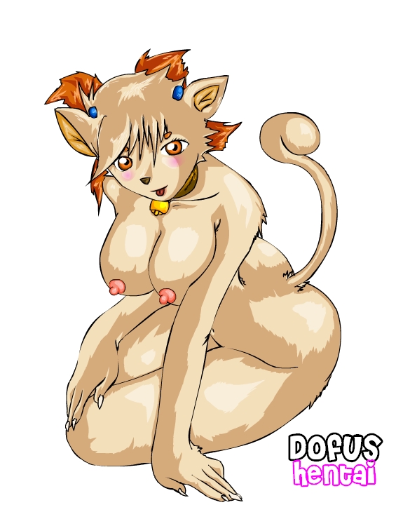 Wakfu/Dofus + Bonus page 12 full