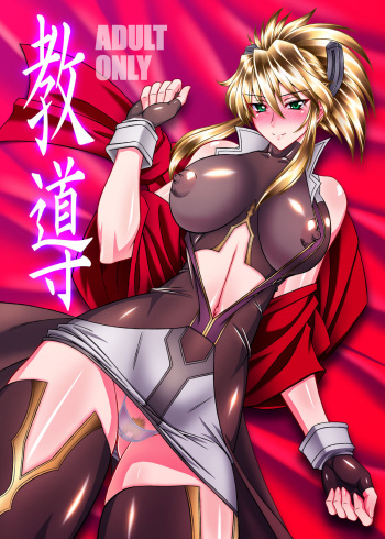 (C78) [Bobcaters (Hamon Ai, r13)] Kyoudou (Tales of the Abyss) cover