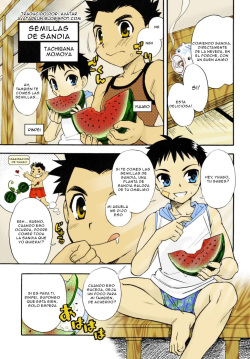 Suika no Tane | Semillas de Sandia