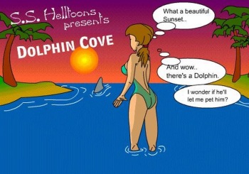 Dolphin Cove cover