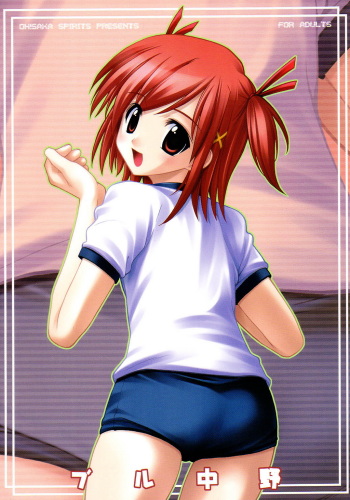 (C65) [Oh!saka Spirits (Aiyama Toshikazu, Ugeppa)] Buru Nakano (Mahou Sensei Negima!) cover