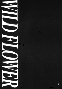 Wolf's rain - Wild Flower