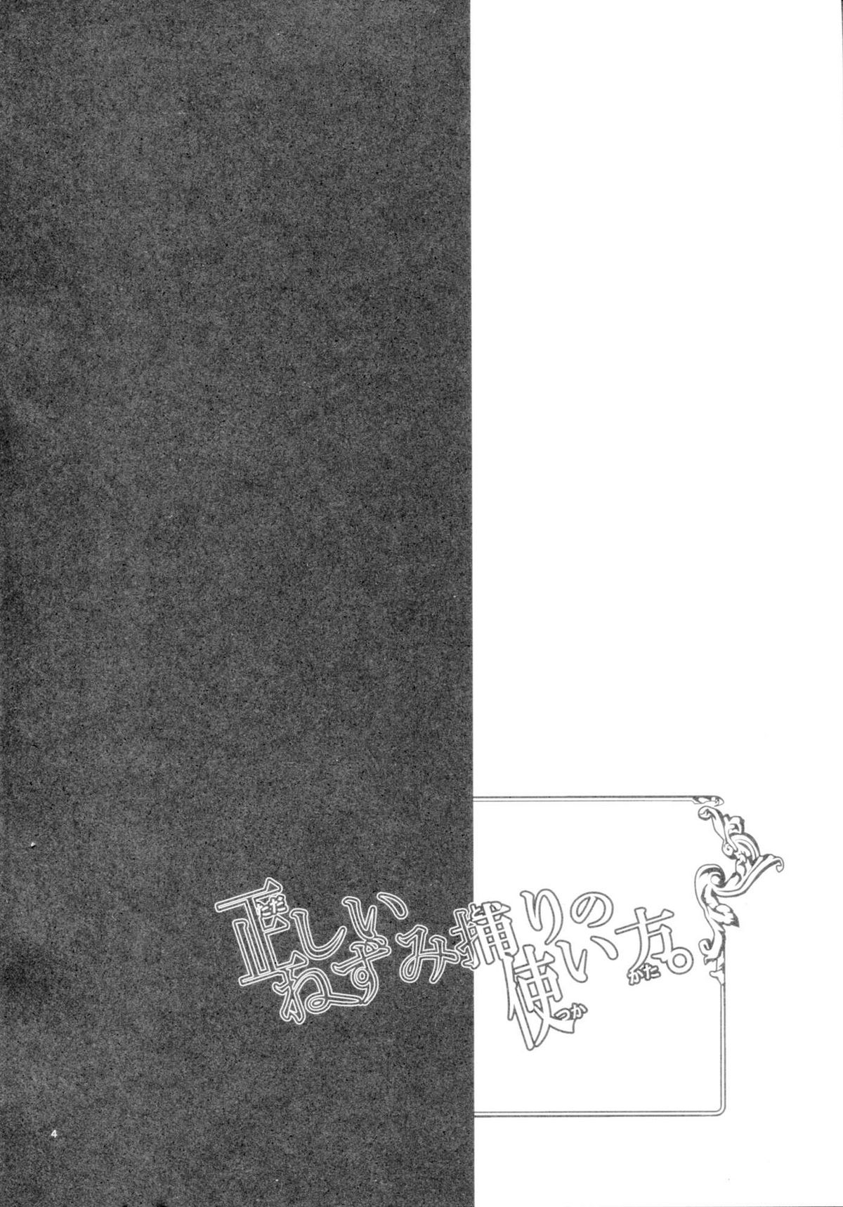 Tadashii Nezumitori no Tsukaikata. page 4 full