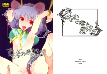 (C77) [Uminari (Narumi)] Tadashii Nezumitori no Tsukaikata. (Touhou Project) cover