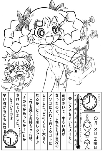 PPGZ cover
