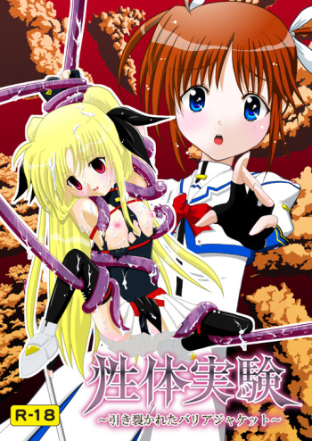 (C78) [Choco Mint] Seitei Jikken ~Hikisa Kareta Barrier Jacket~ (Magical Girl Lyrical Nanoha) cover