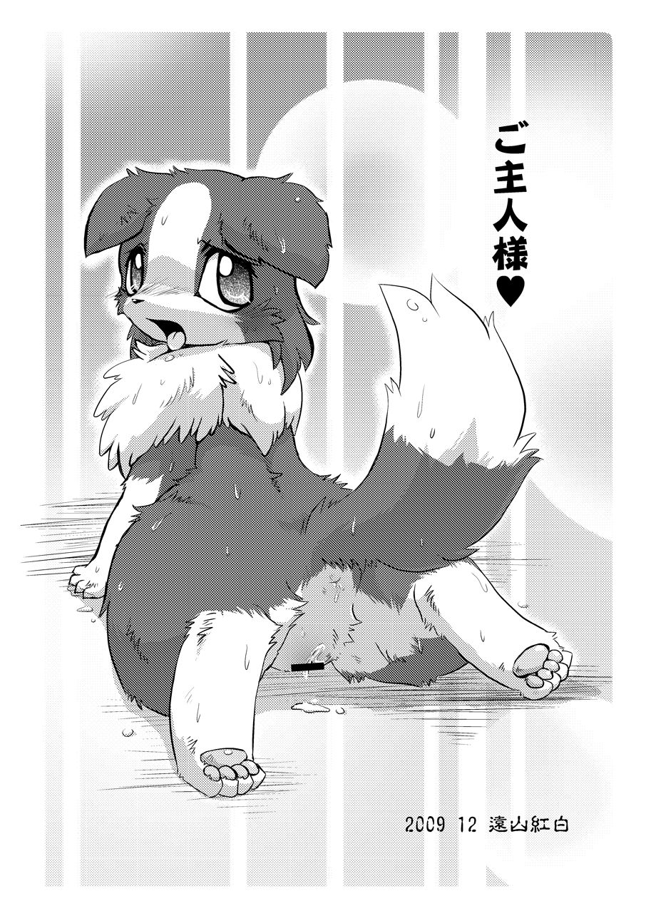 Border Collie Youjo Hokan Keikaku Vol. 2 page 12 full
