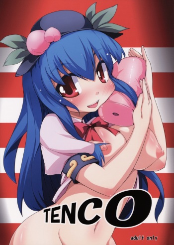 (C76) [Raiden Labo (Raiden)] Tenco (Touhou Project) cover