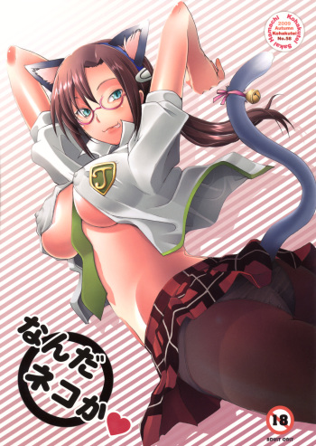 (SC45)[Kohakutei (Sakai Hamachi)] Nanda Neko ka (Rebuild of Evangelion) cover
