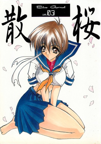 (CR21) [BLUE GARNET (Serizawa Katsumi)] Blue Garnet Vol. 03 Chirizakura (Street Fighter ZERO) cover