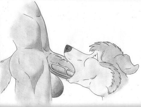 NuDog page 10 full