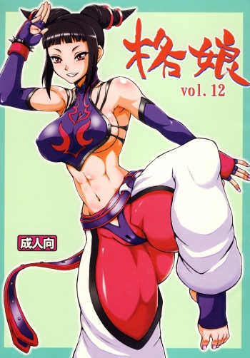 (C78) [Motsu Ryouri (Doru Riheko, Motsu)] Kaku Musume vol. 12 (Street Fighter IV) cover
