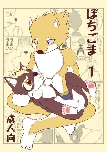 Pochigoma cover