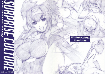 (C74) [Studio N.BALL (Haritama Hiroki)] SURPRISE CULTURE (Macross Frontier) cover