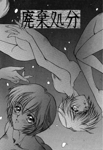 Haiki Syobun (Neon Genesis Evangelion) cover