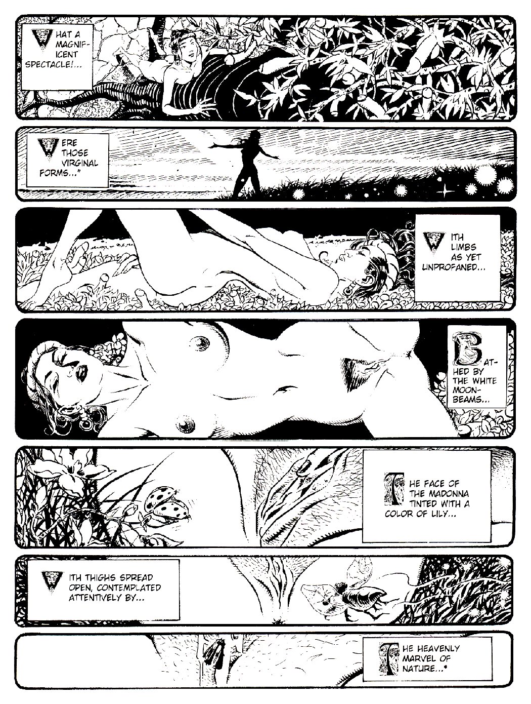 Ex-Libris Eroticis - Monika page 11 full