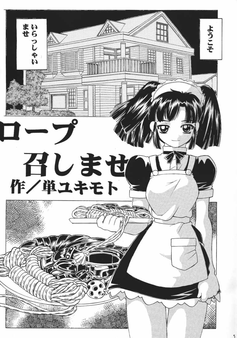 MAID GP2001 page 4 full