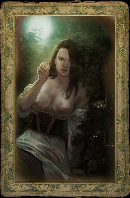 The Witcher Cards page 2 full