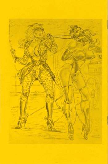 Stanton-Blunder Woman 04 cover