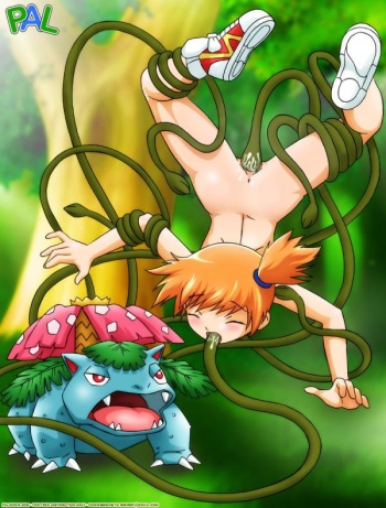 Pokemon gallery by beast cover
