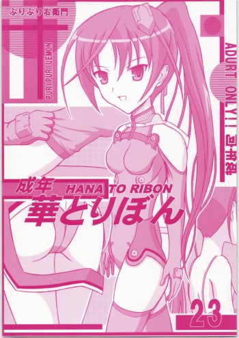 (C72) [HANA TO RIBON (Puripuri Uemon)] Seinen Hana To Ribon 23 (Sky Girls) cover