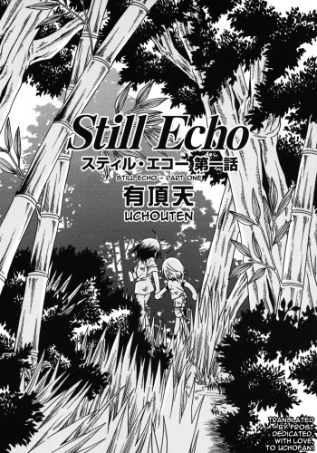 Still echo cover