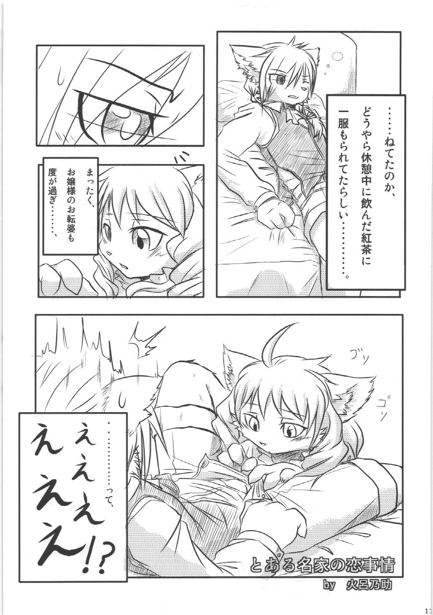 Seishun 18kin Kippu 4 page 11 full