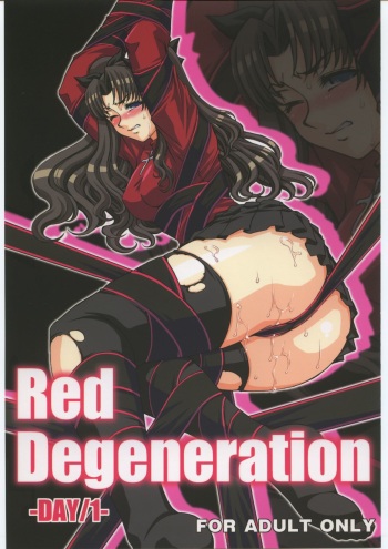 (SC33) [H.B (B-RIVER)] Red Degeneration -DAY/1- (Fate/stay night) cover