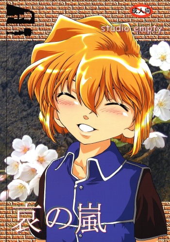 (C65) [Studio Empty (Nishi)] Ai no Arashi (Detective Conan) cover