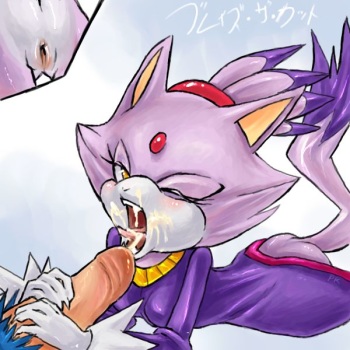 Large Sonic Collection- Blaze the Cat cover