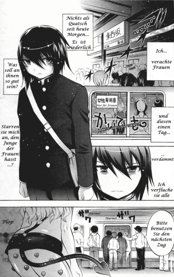 Perverted Girl [german] cover