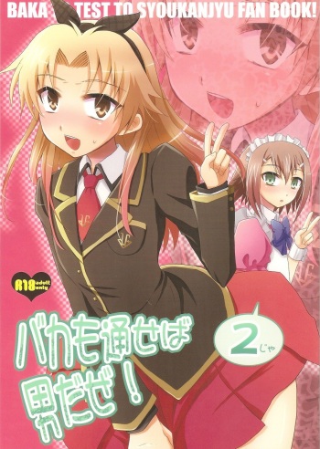 (C78) [Heatwave (Yuuhi)] Baka mo Tooseba Otoko Daze! 2 (Baka to Test to Shoukanjuu) cover