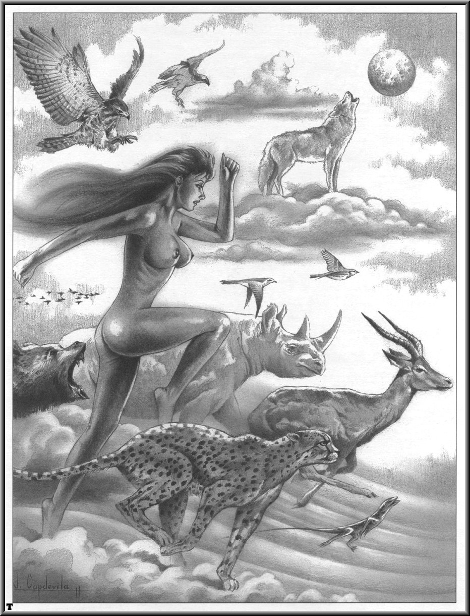 Wolfpack - A gallery girls collection page 11 full
