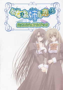 Otome wa boku ni koi shiteru Visual Fanbook